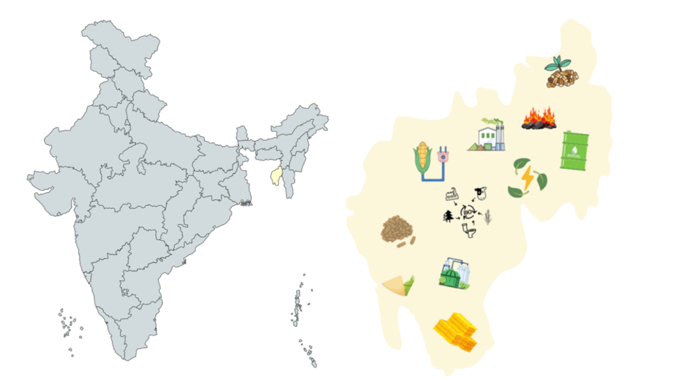 Tripura Agro Residues & Biomass - Availability, Supply Chain, Prices ...